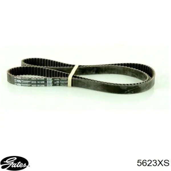 Compre 5623XS Gates Correia do mecanismo de distribuição de gás