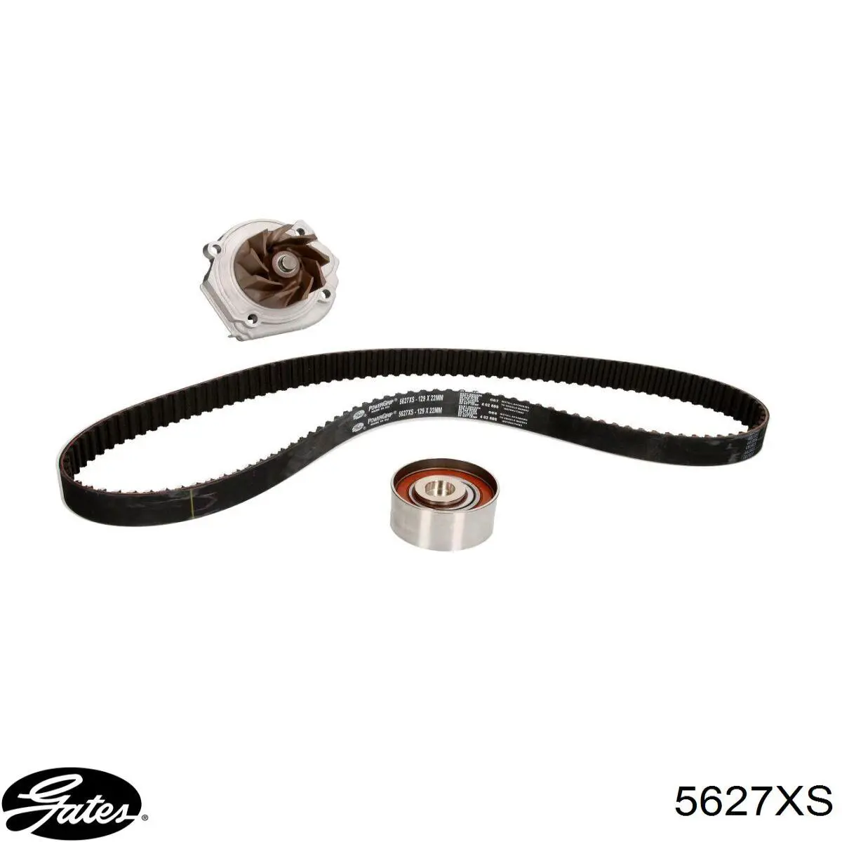 Зубчатый ремень Ford 1564819 цена, от 17.01 USD