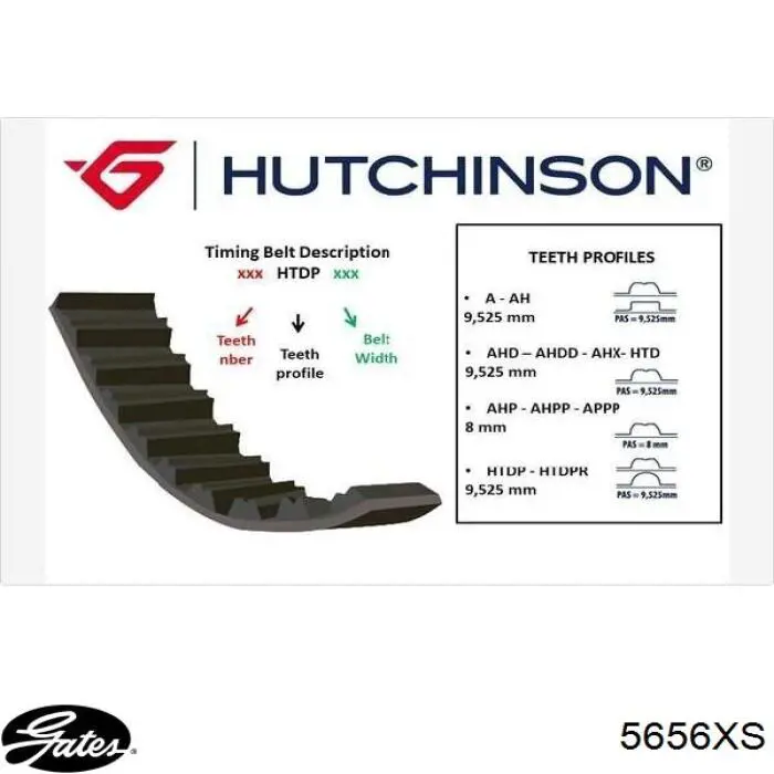 ГРМ ремни Gates 5656XS