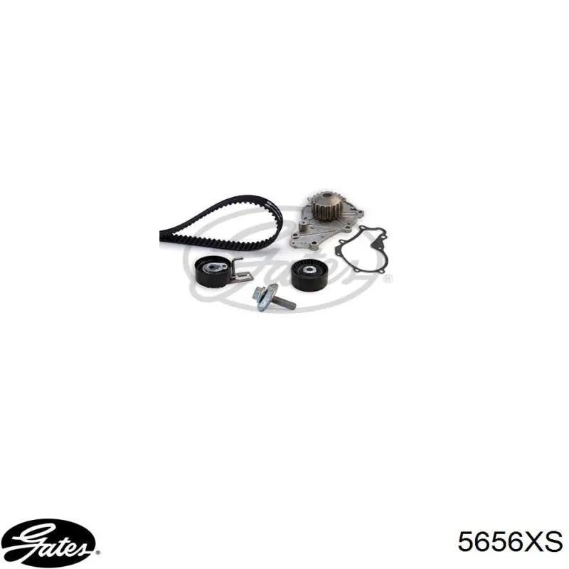 Зубчатый ремень Gates 5656XS цена, от 30.87 USD