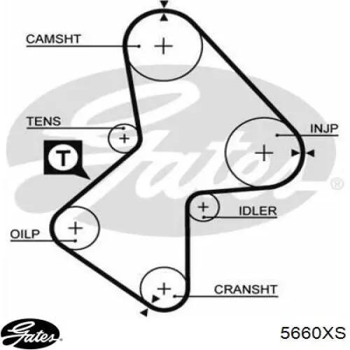 5660XS Gates Ремень двигателя