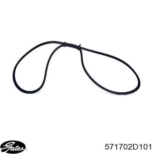 Клиновый ремень Gates 571702D101 цена, от 5.73 USD