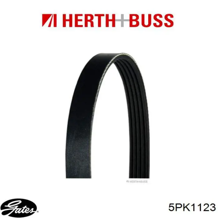 5PK1123 Gates Поликлиновый ремень