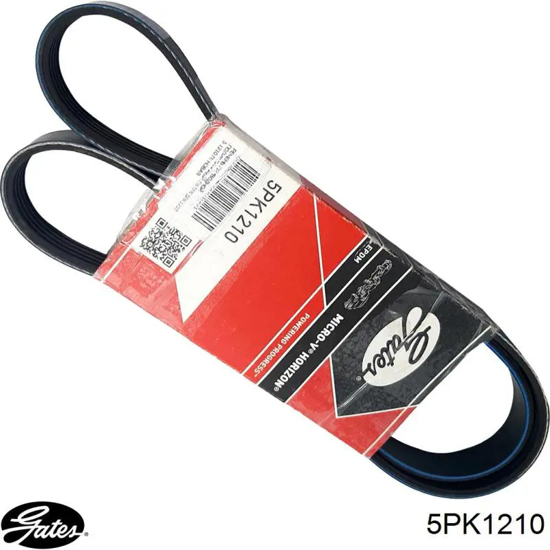 5PK1210 Gates Поликлиновый ремень