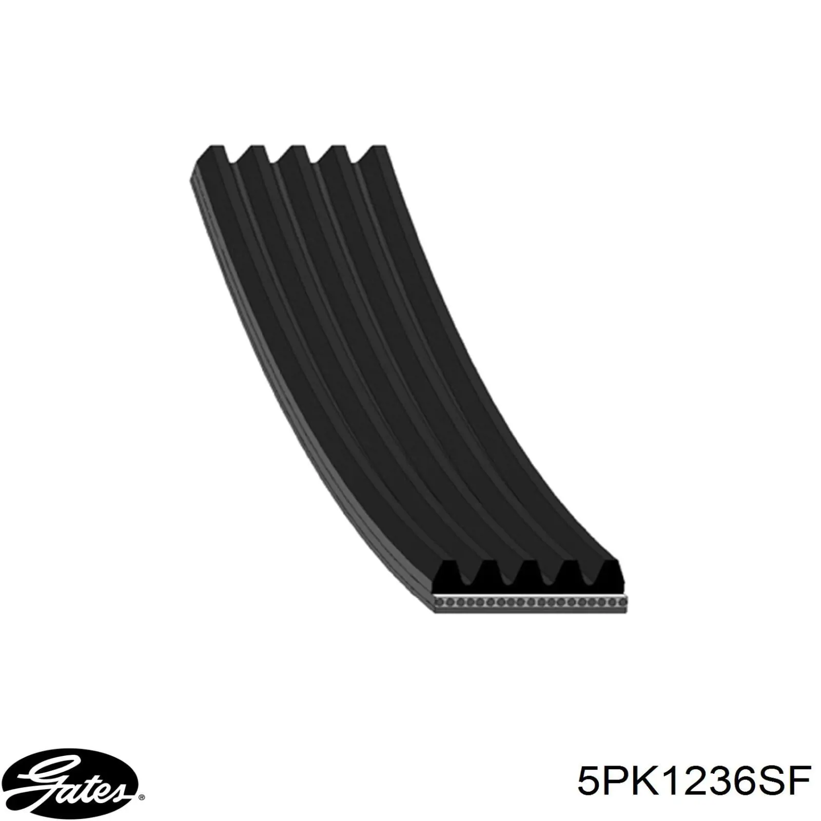 Купить 5PK1236SF Gates Ремень генератора