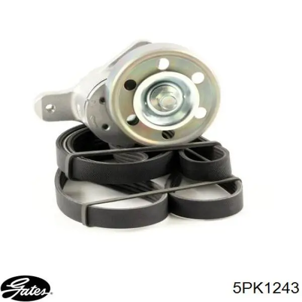 Купить 5PK1245 Continental/Siemens Ремень генератора