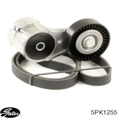 Ремень кондиционера Gates 5PK1255