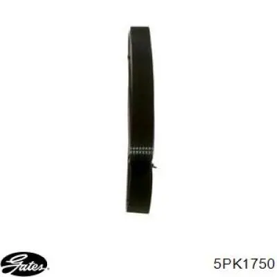 Клиновый ремень Gates 5PK1750 цена, от 11.02 USD