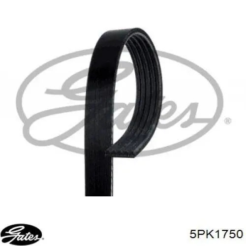 5PK1750 Gates Поликлиновый ремень