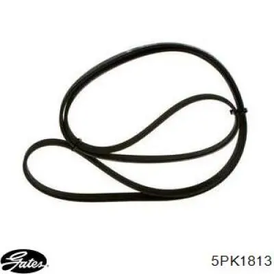 Купить 5PK1813 Gates Ремень генератора