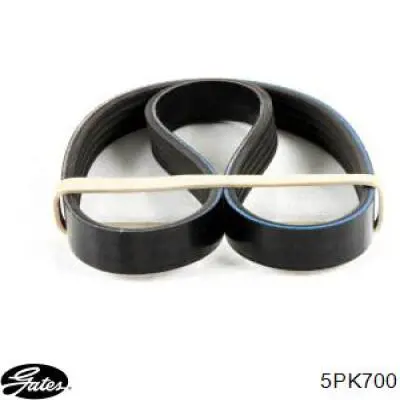 5PK705 Dayco Поликлиновый ремень