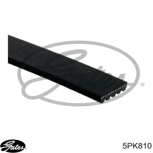 Ремень генератора SR5PK810 Starline