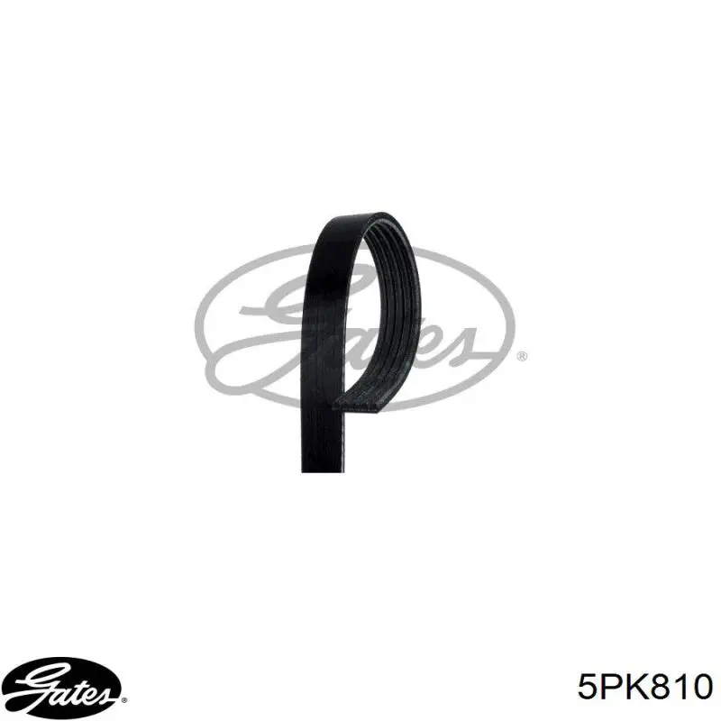 Ремень кондиционера Gates 5PK810