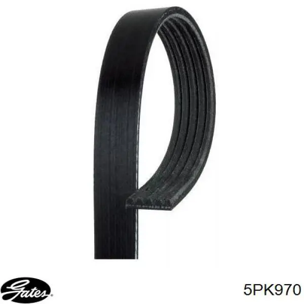 5PK970 Gates