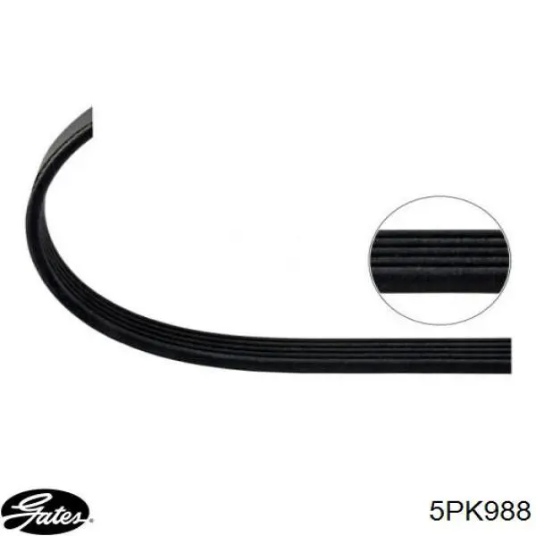 Клиновый ремень Gates 5PK988 цена, от 7.18 USD