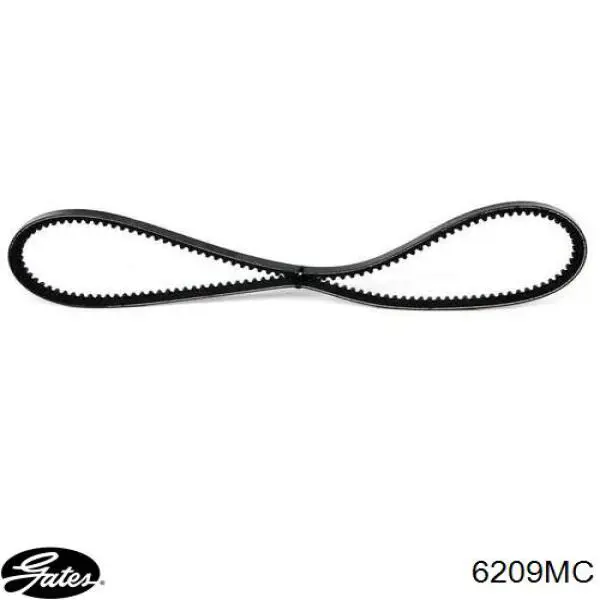 6209MC Gates