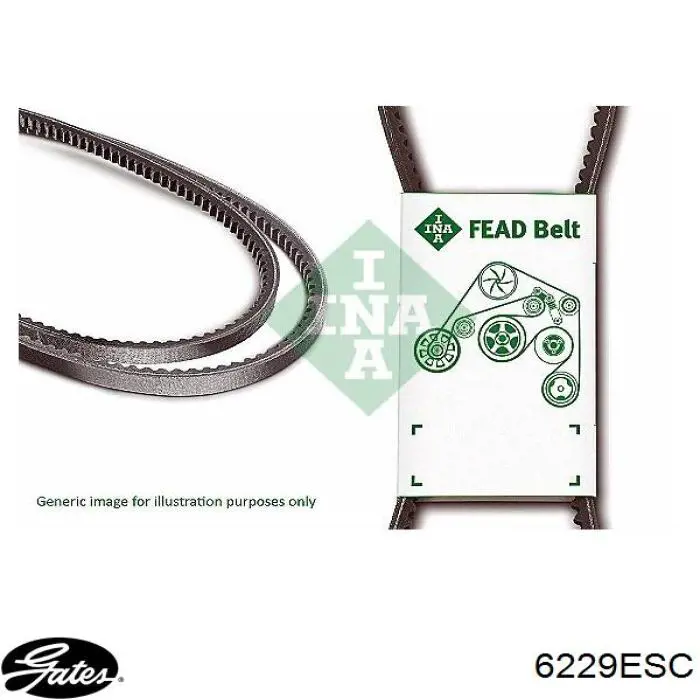 6229ESC Gates Поликлиновый ремень
