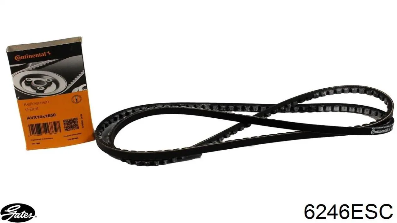 6246ESC Gates Поликлиновый ремень