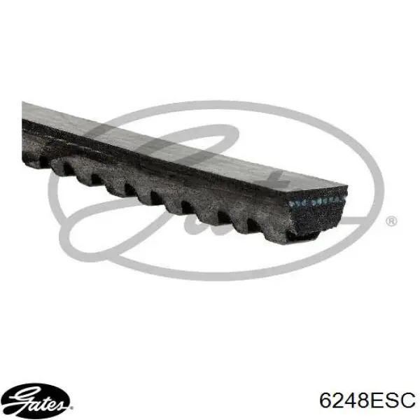 Ремень генератора 6248ESC Gates