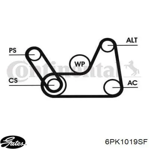 Ремень кондиционера Gates 6PK1019SF