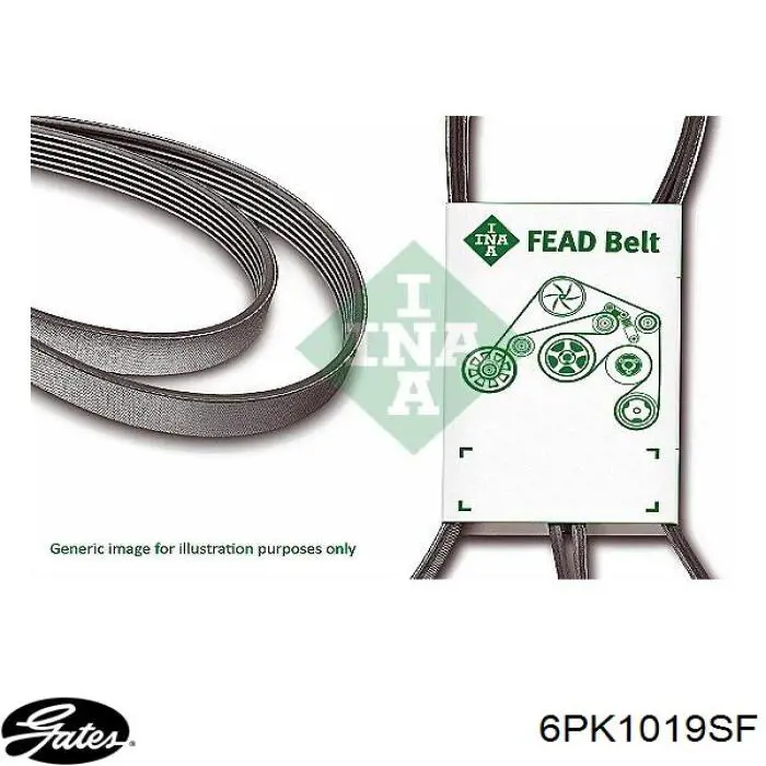6PK1019SF Gates Поликлиновый ремень