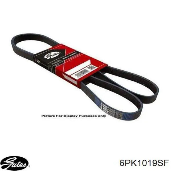 Купить 6PK1019SF Gates Ремень генератора
