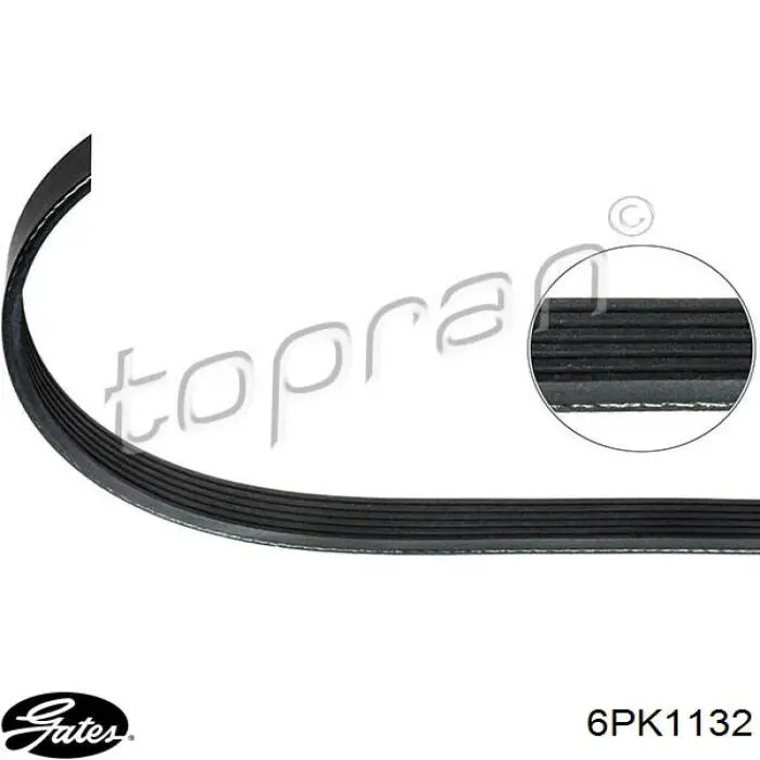 117202608R Renault (RVI) Поликлиновый ремень