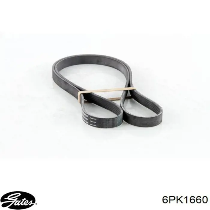 Купить 6PK1660 Gates Ремень генератора