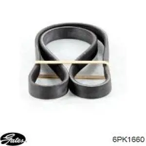 6PK1660 Gates Поликлиновый ремень