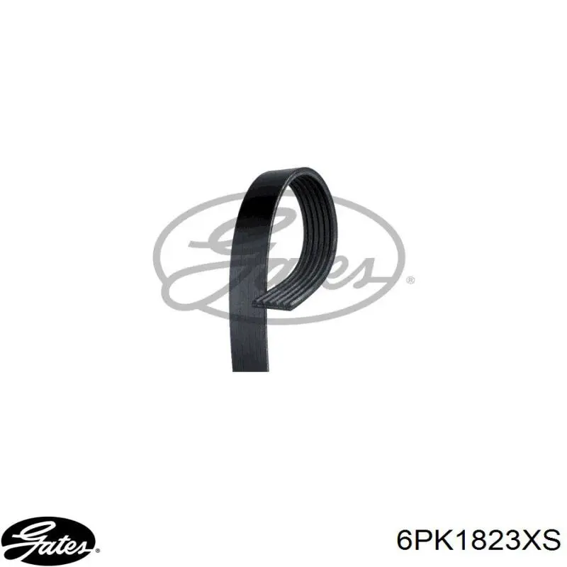 Клиновый ремень Febi 182869 цена, от 18.55 USD
