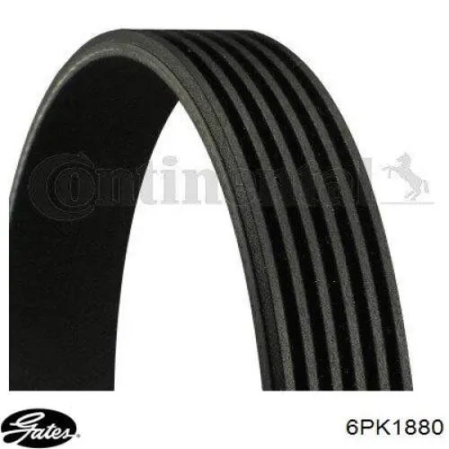 Ремень генератора 93172397 Opel
