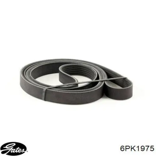 Ремень генератора 60630741 Fiat/Alfa/Lancia