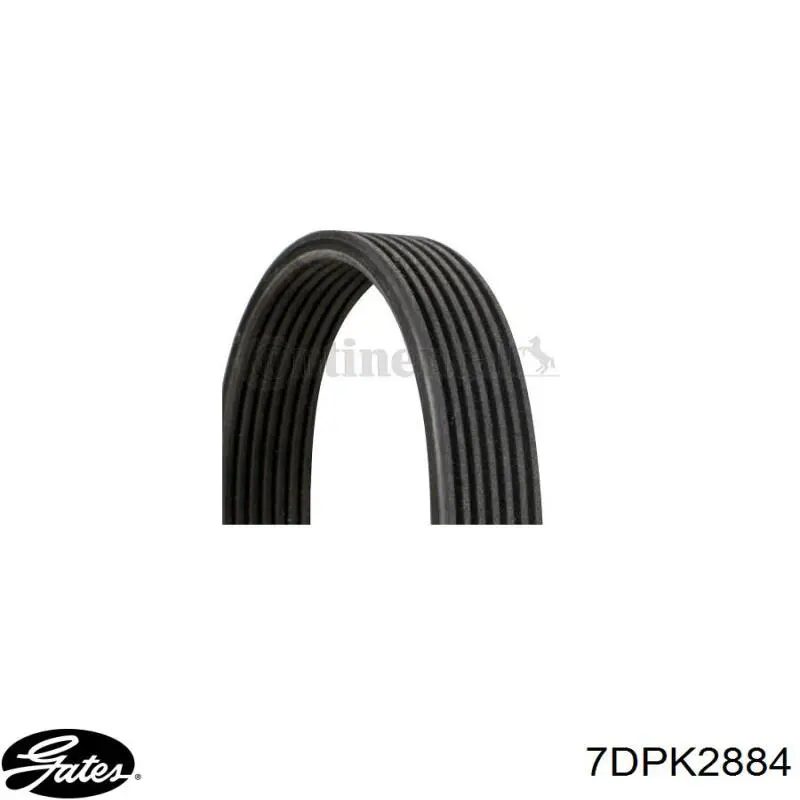 Клиновый ремень Porsche Cayenne внедорожник (955) (2002 - 2010) цена, от 60.49 USD