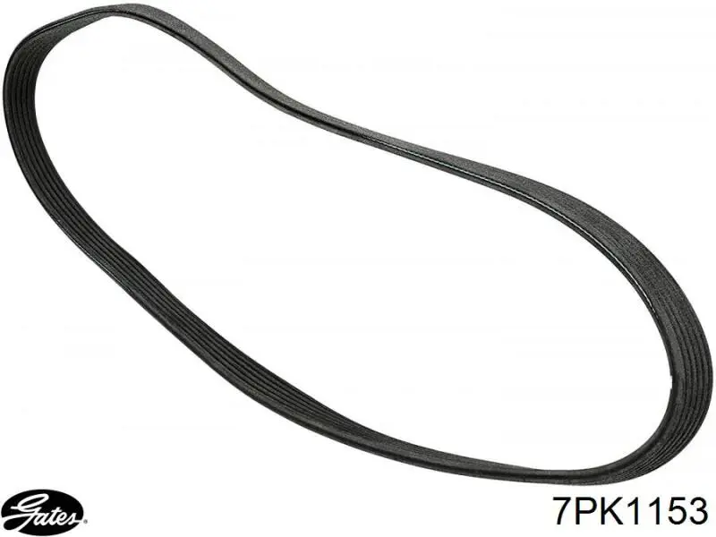 Купить 7PK1153 Gates Ремень генератора