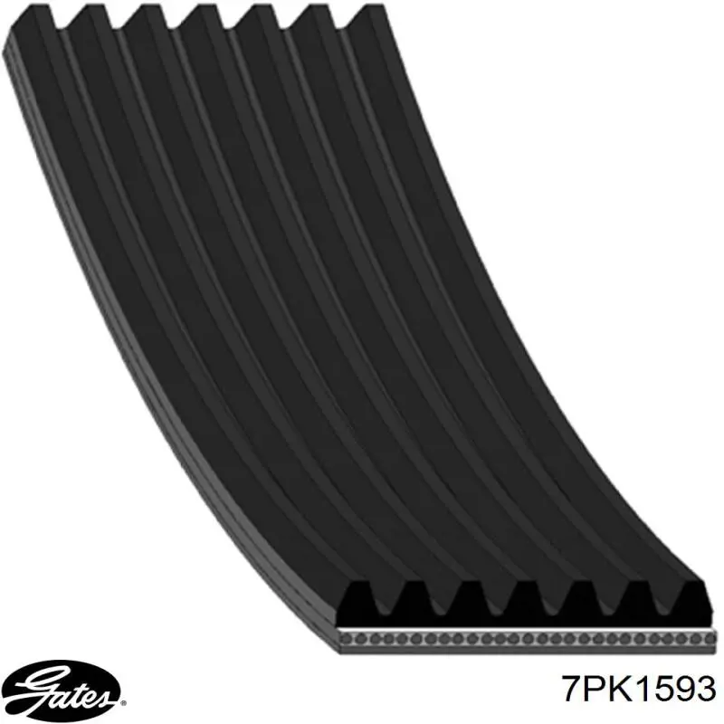 Купить 7PK1593 Gates Ремень генератора