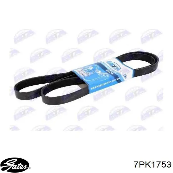 Клиновый ремень Renault (RVI) 119205985R цена, от 17.90 USD