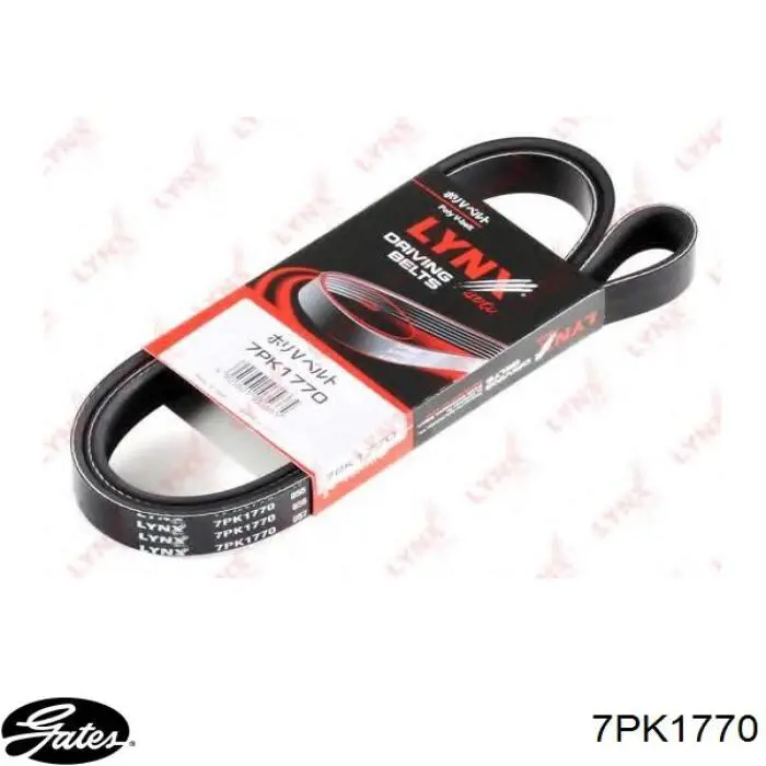 7PK1770 Gates Поликлиновый ремень