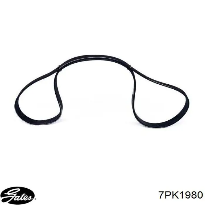 7PK1980 Gates