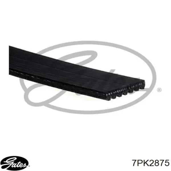 Купить 1129182 Ford Ремень генератора