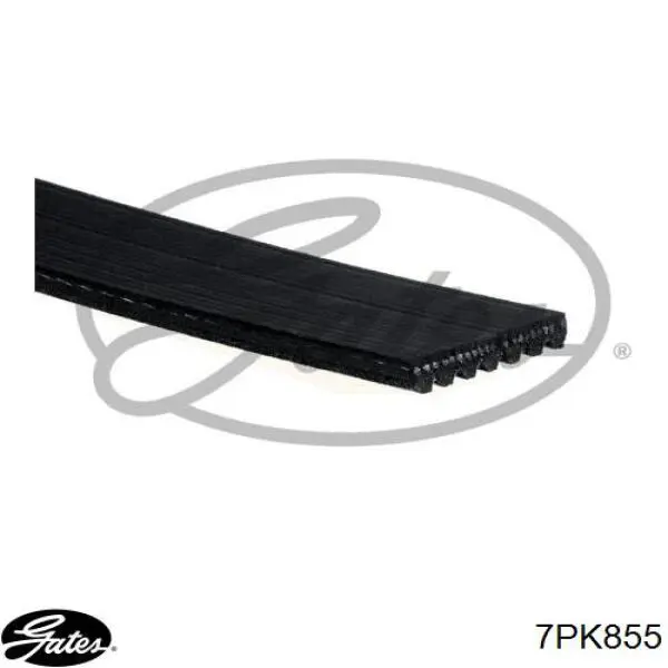 Купить 11287560487 BMW Ремень генератора