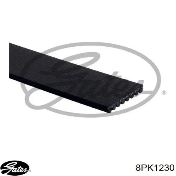 Купить RF8G15909 Mazda Ремень генератора