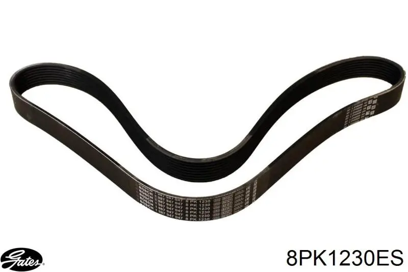 Купить RF8G15909 Mazda Ремень генератора