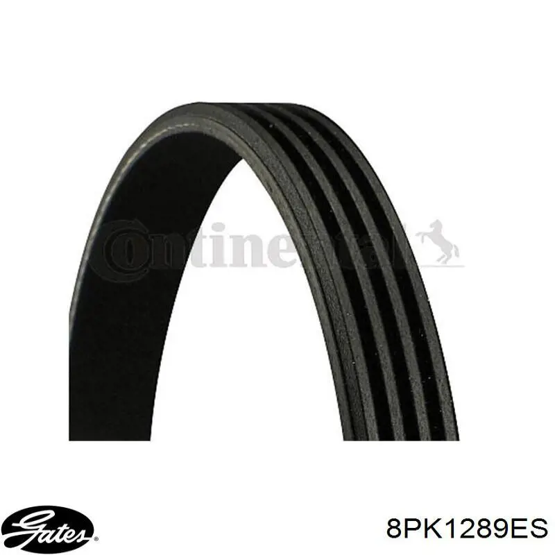 Ремень генератора RD8PK1920EPDM Rider