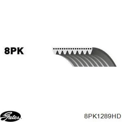 Купить 8PK1290HD Dayco Ремень генератора