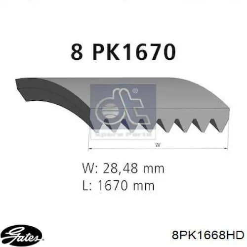 Клиновый ремень Dayco 8PK1675HD цена, от 19.16 USD