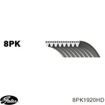 8PK1920HD Gates Поликлиновый ремень