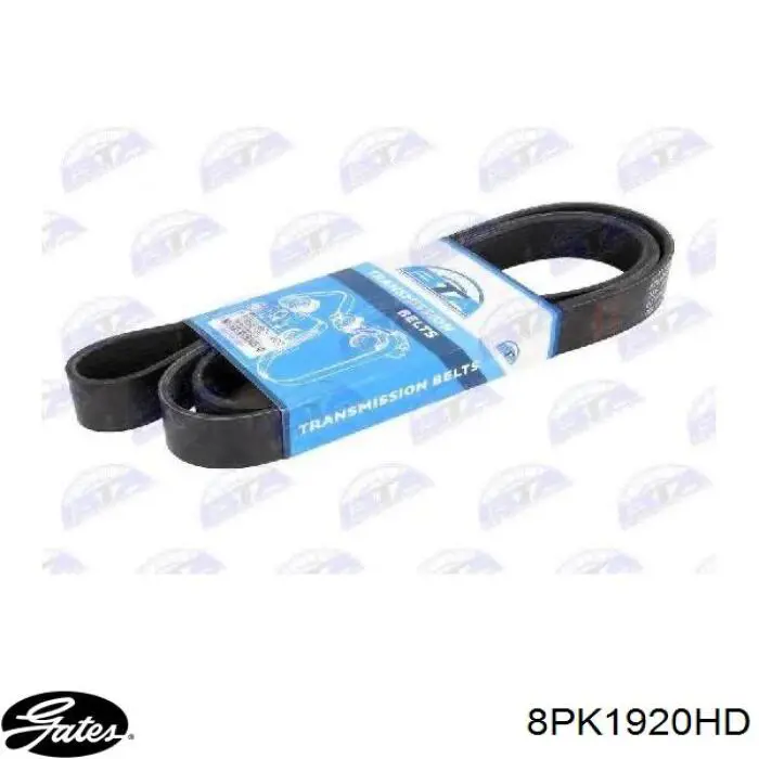 Клиновый ремень Gates 8PK1920HD цена, от 19.29 USD