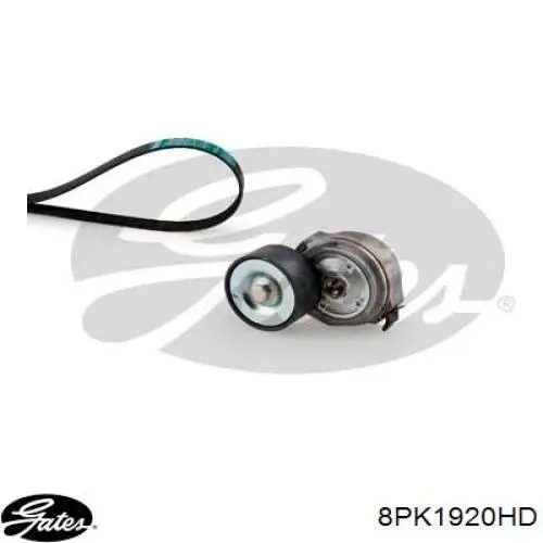Купить RD8PK1920EPDM Rider Ремень генератора