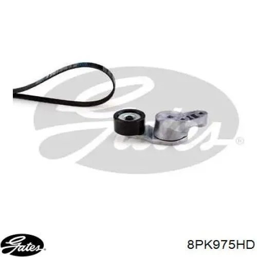 Клиновый ремень Continental/Siemens 8PK975 цена, от 11.38 USD