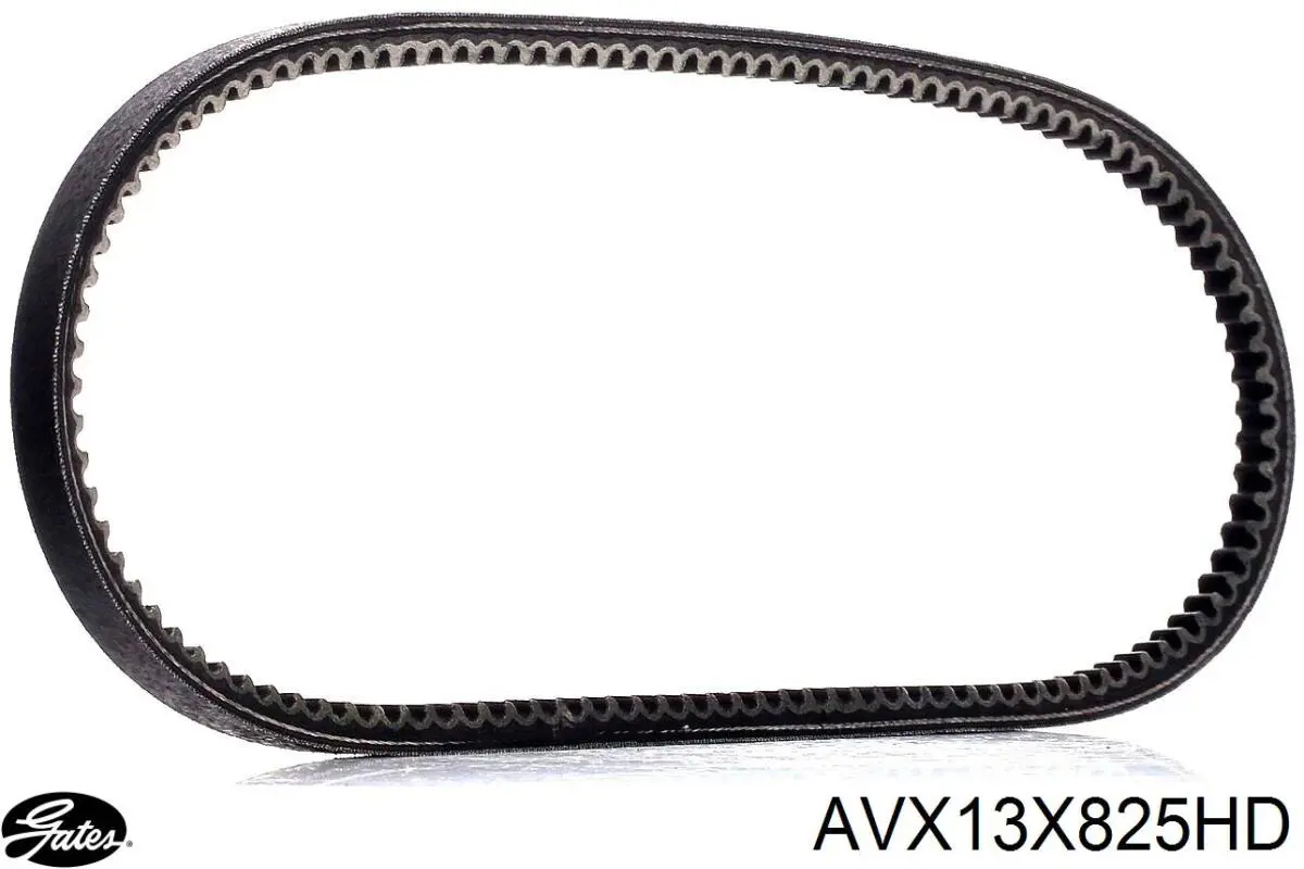 Клиновый ремень Starline SR13X825 цена, от 3.07 USD